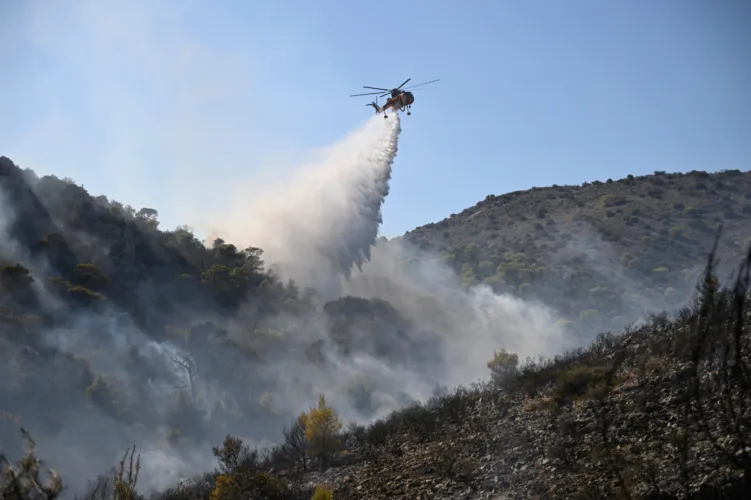 Firefighters battle massive wildfires in Belgium and Greece as two die on an island near Athens
